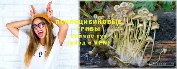 прущая мука Семилуки