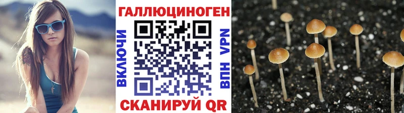Псилоцибиновые грибы мухоморы  цены наркотик  Сухой Лог 